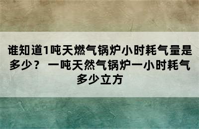 谁知道1吨天燃气锅炉小时耗气量是多少？ 一吨天然气锅炉一小时耗气多少立方